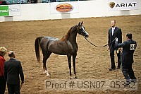 usn07_05382 proof