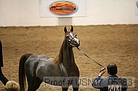 usn07_05383 proof