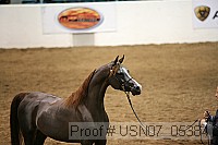 usn07_05384 proof
