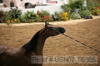 usn07_05385 proof