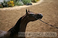 usn07_05386 proof