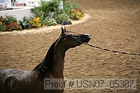 usn07_05387 proof