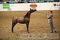 usn07_05389 proof