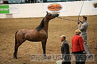 usn07_05390 proof