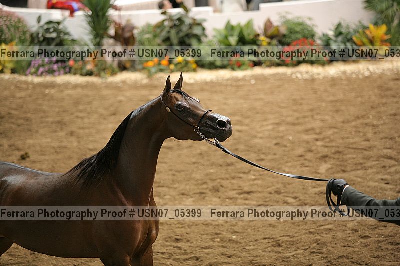 Proof usn07_05399