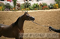 usn07_05399 proof