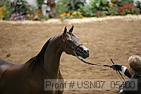 usn07_05400 proof