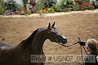 usn07_05401 proof