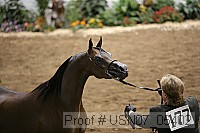 usn07_05402 proof