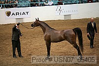 usn07_05405 proof