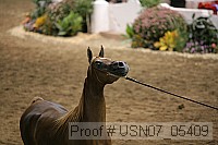 usn07_05409 proof