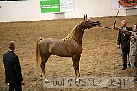 usn07_05411 proof
