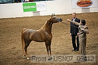 usn07_05412 proof