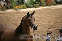 usn07_05415 proof