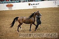 usn07_05425 proof
