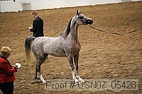 usn07_05428 proof