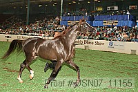 usn07_11155 proof