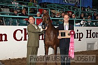 usn07_j05617 proof