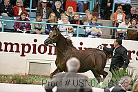 usn07_j11234 proof
