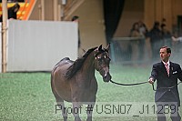 usn07_j11239 proof