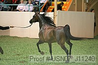 usn07_j11240 proof