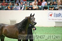 usn07_j11241 proof