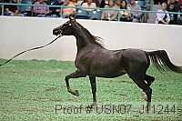 usn07_j11244 proof