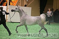 usn07_j11246 proof