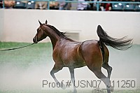 usn07_j11250 proof