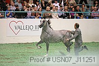 usn07_j11251 proof