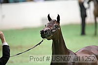 usn07_j11252 proof
