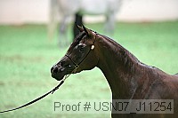 usn07_j11254 proof