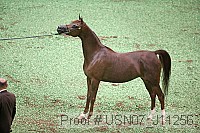 usn07_j11256 proof
