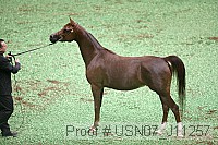 usn07_j11257 proof