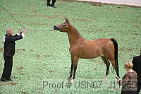 usn07_j11259 proof