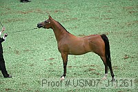 usn07_j11261 proof