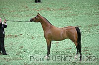 usn07_j11262 proof