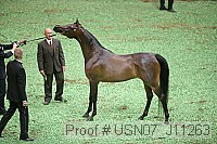 usn07_j11263 proof