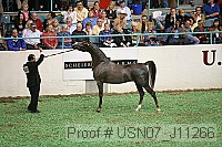 usn07_j11266 proof