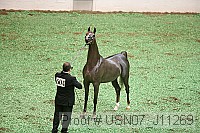 usn07_j11269 proof