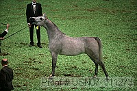 usn07_j11273 proof