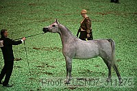 usn07_j11275 proof