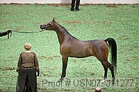 usn07_j11277 proof