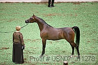 usn07_j11278 proof