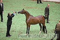 usn07_j11281 proof