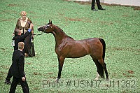 usn07_j11282 proof