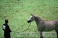 usn07_j11286 proof