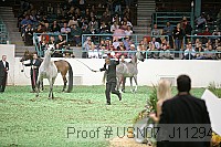 usn07_j11294 proof