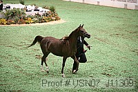 usn07_j11309 proof