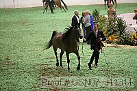 usn07_j11311 proof